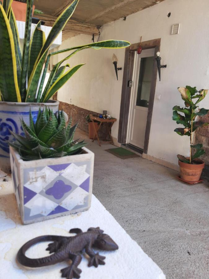 Studio Tout Confort 2 Personnes Au Coeur De L'Alsace Wolxheim 外观 照片