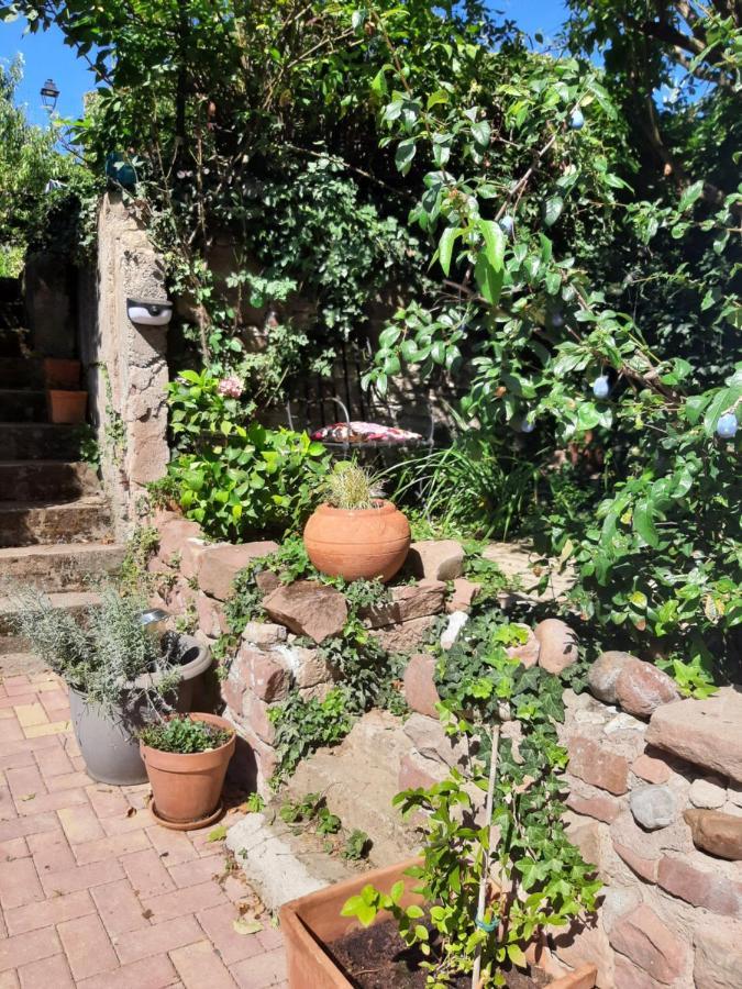 Studio Tout Confort 2 Personnes Au Coeur De L'Alsace Wolxheim 外观 照片
