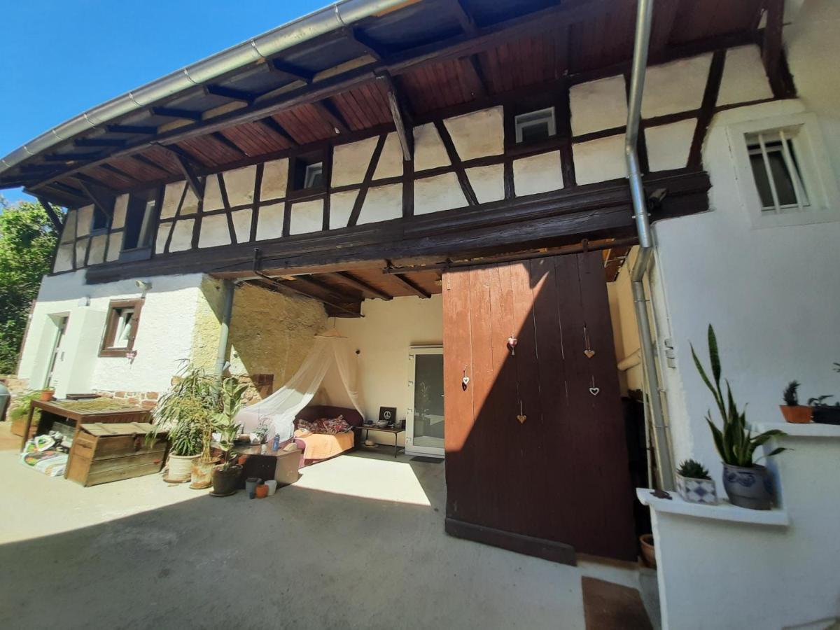 Studio Tout Confort 2 Personnes Au Coeur De L'Alsace Wolxheim 外观 照片