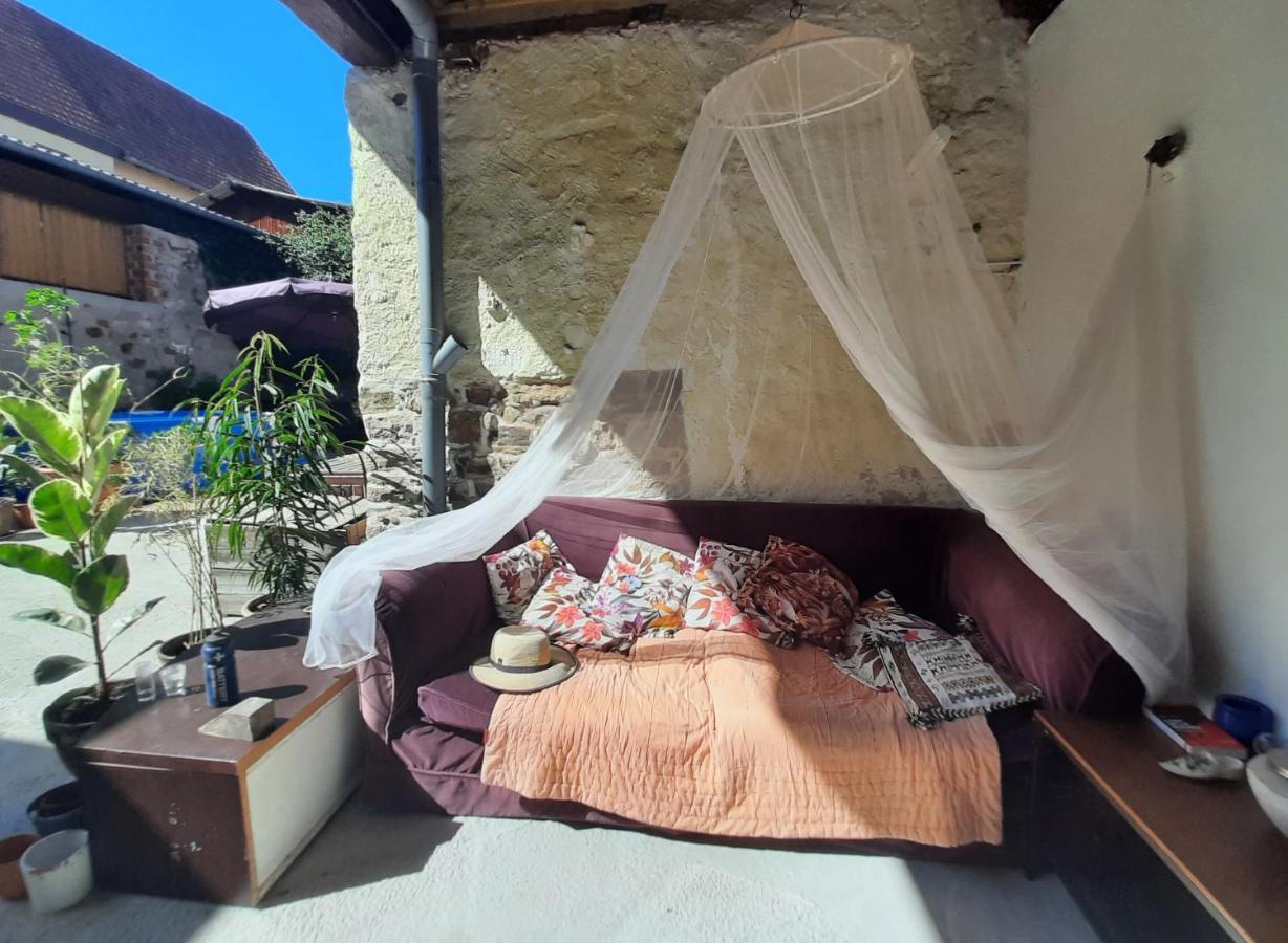 Studio Tout Confort 2 Personnes Au Coeur De L'Alsace Wolxheim 外观 照片