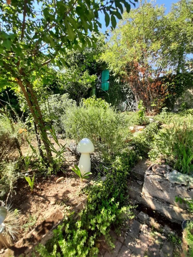 Studio Tout Confort 2 Personnes Au Coeur De L'Alsace Wolxheim 外观 照片