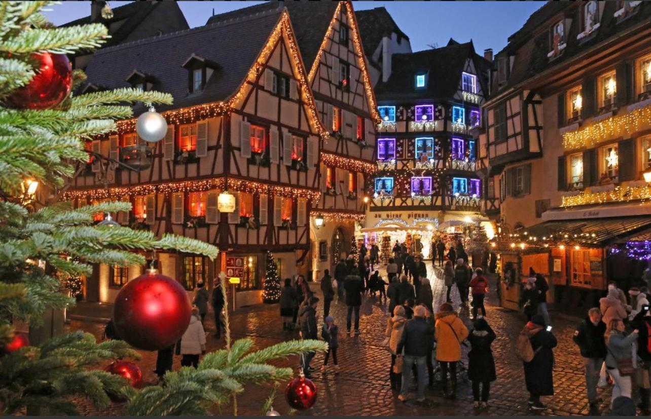 Studio Tout Confort 2 Personnes Au Coeur De L'Alsace Wolxheim 外观 照片