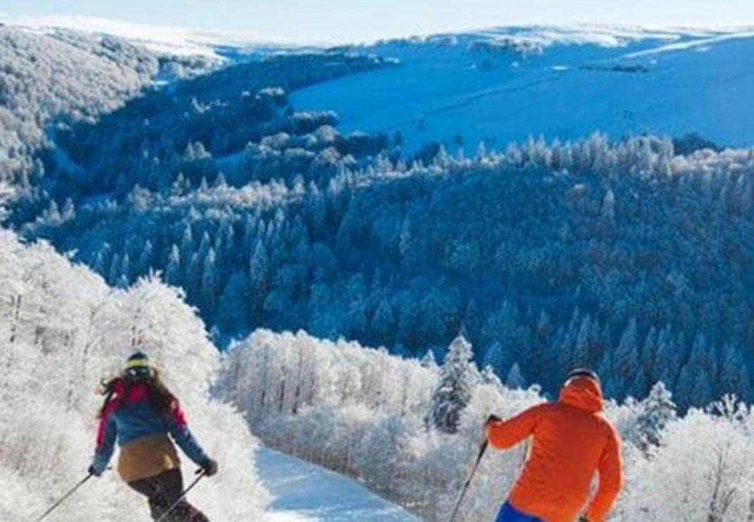 Studio Tout Confort 2 Personnes Au Coeur De L'Alsace Wolxheim 外观 照片