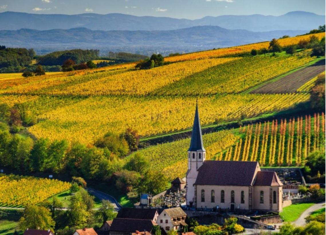 Studio Tout Confort 2 Personnes Au Coeur De L'Alsace Wolxheim 外观 照片