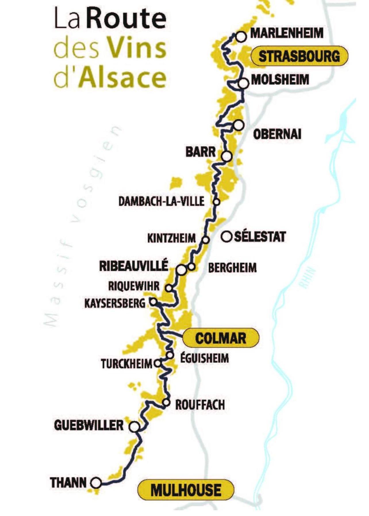 Studio Tout Confort 2 Personnes Au Coeur De L'Alsace Wolxheim 外观 照片