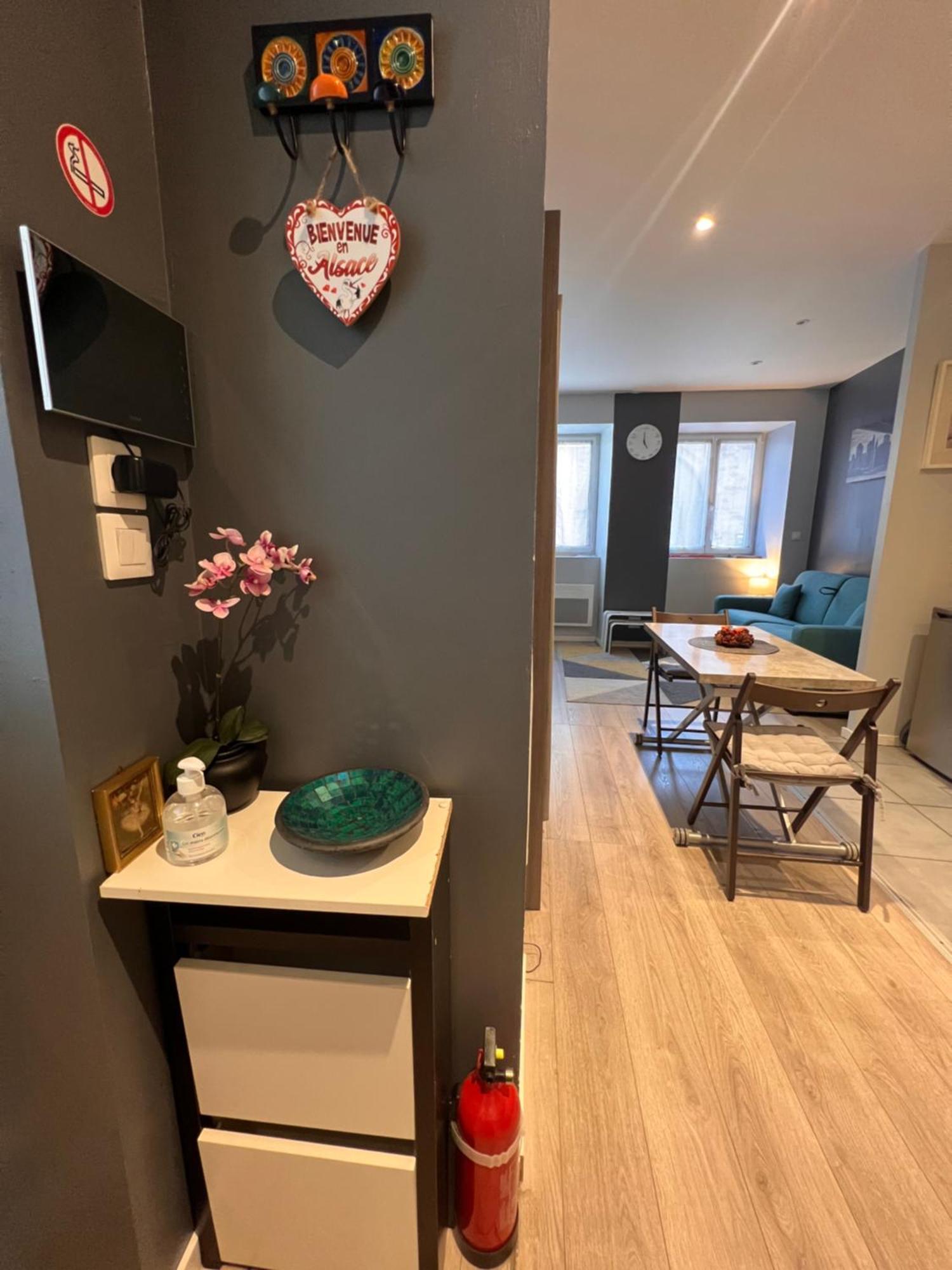 Studio Tout Confort 2 Personnes Au Coeur De L'Alsace Wolxheim 外观 照片