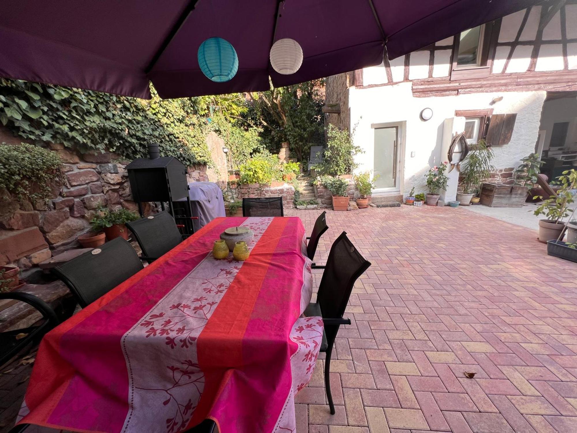 Studio Tout Confort 2 Personnes Au Coeur De L'Alsace Wolxheim 外观 照片