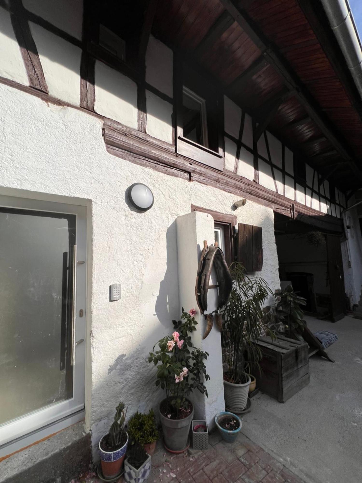 Studio Tout Confort 2 Personnes Au Coeur De L'Alsace Wolxheim 外观 照片