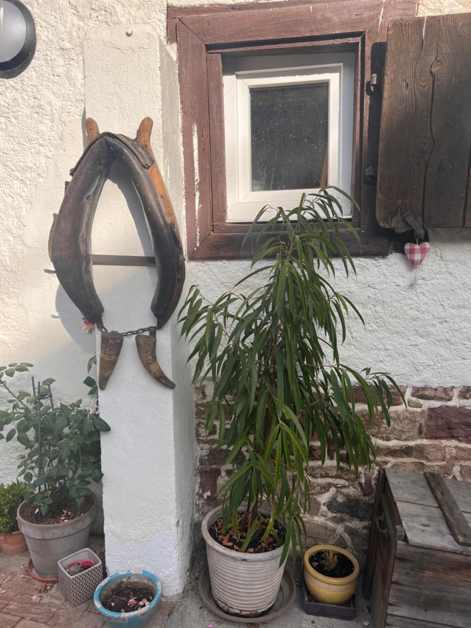 Studio Tout Confort 2 Personnes Au Coeur De L'Alsace Wolxheim 外观 照片
